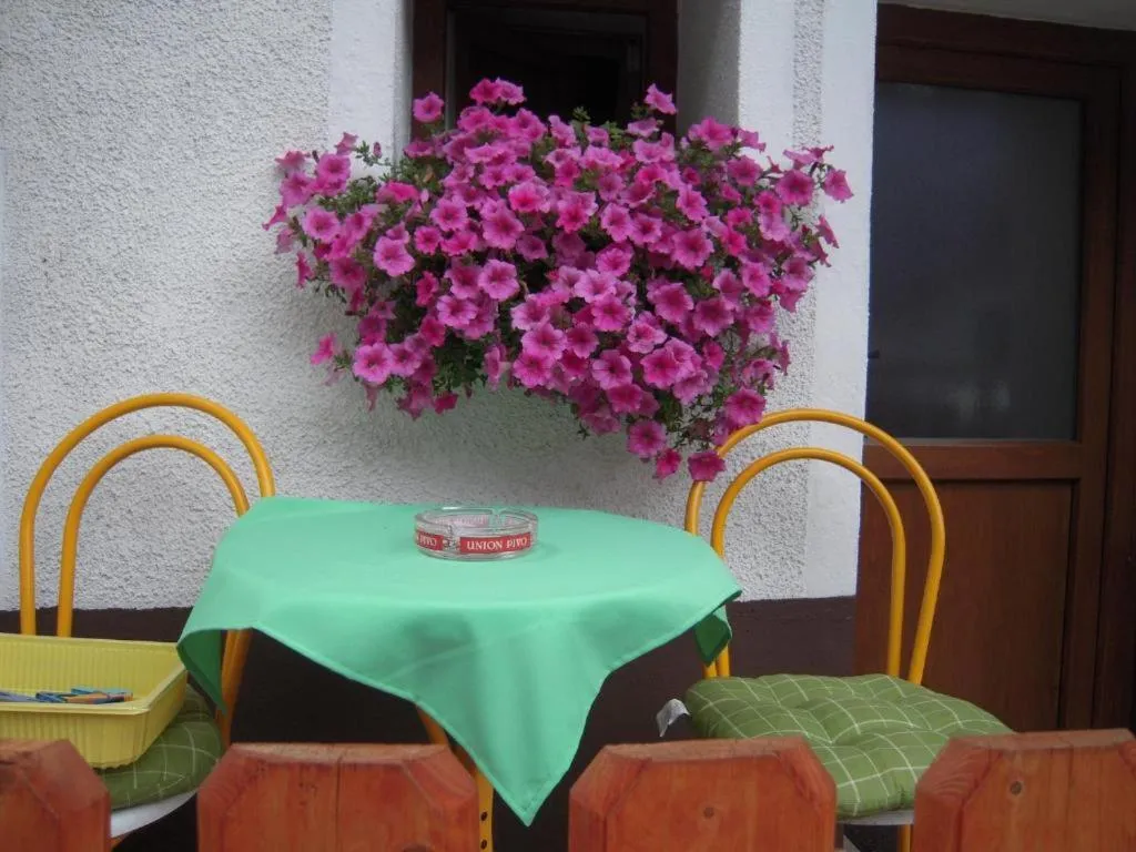 Miza na balkonu z okrasnim cvetjem