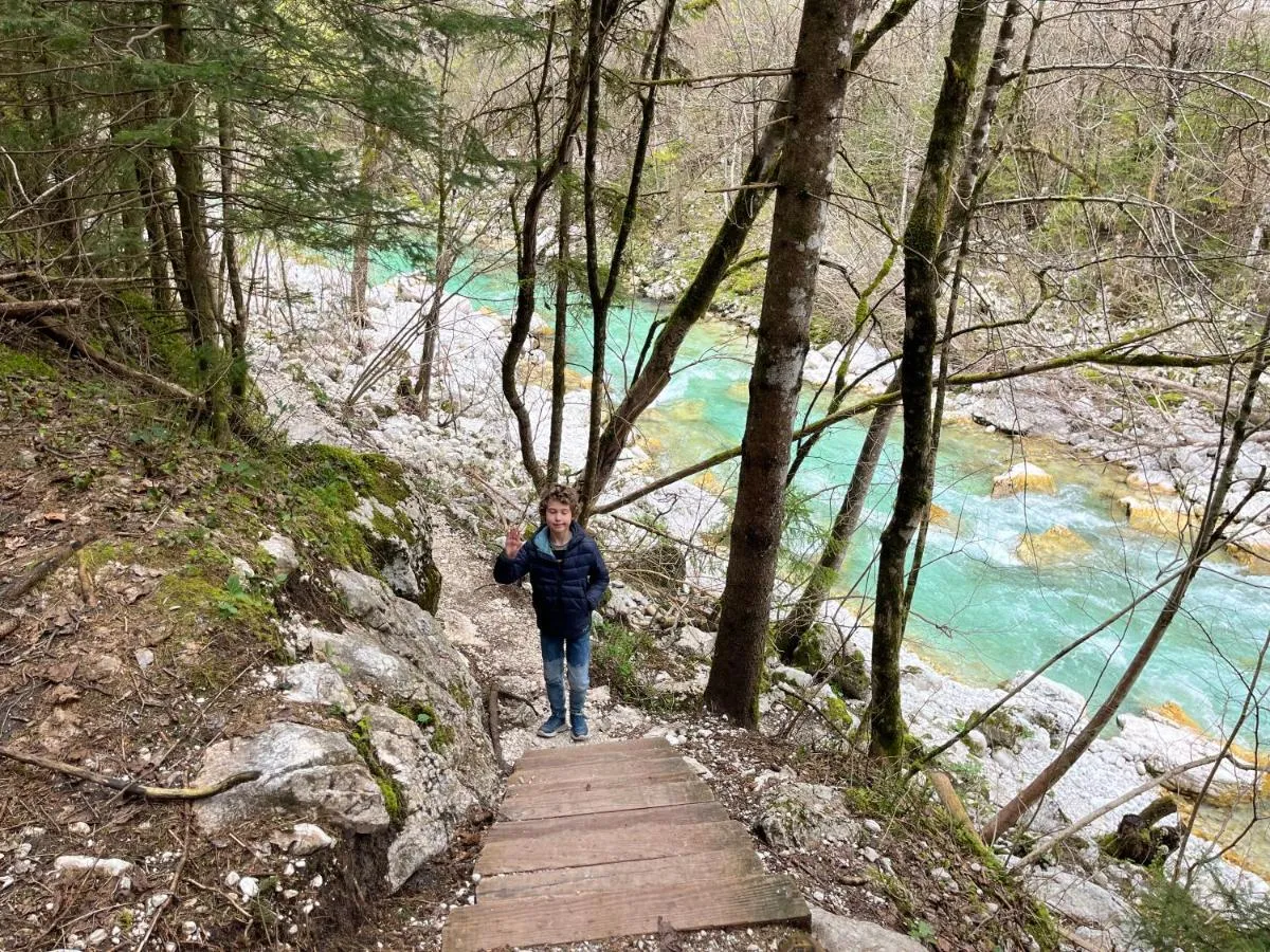 Lesene stopnice skozi gozd do turkizne Soče